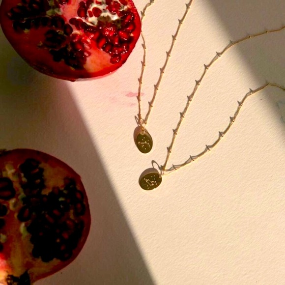 Aries Minimal Indie Pendant Zodiac Charm Necklace - Picture 7 of 9